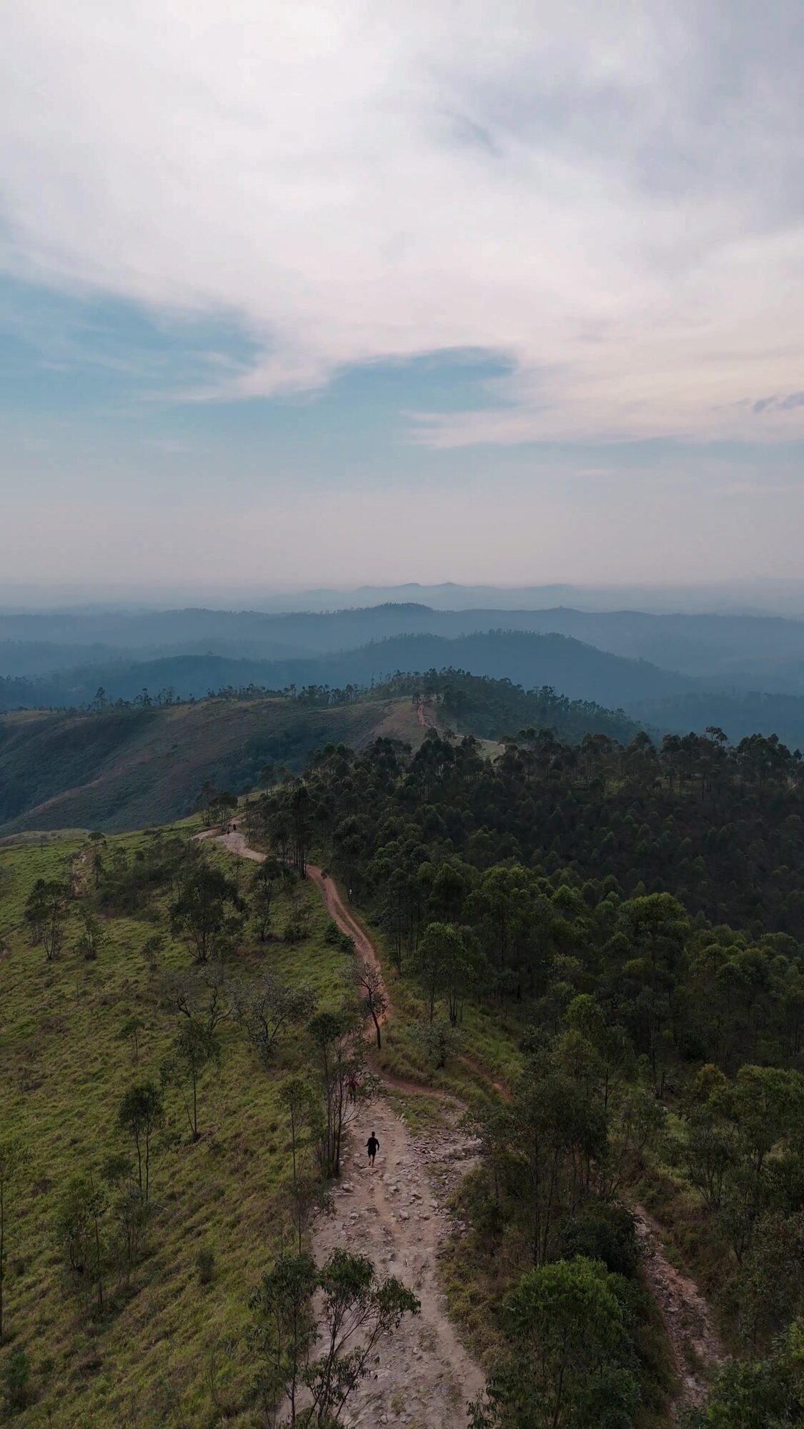 A serra na manhã da prova
